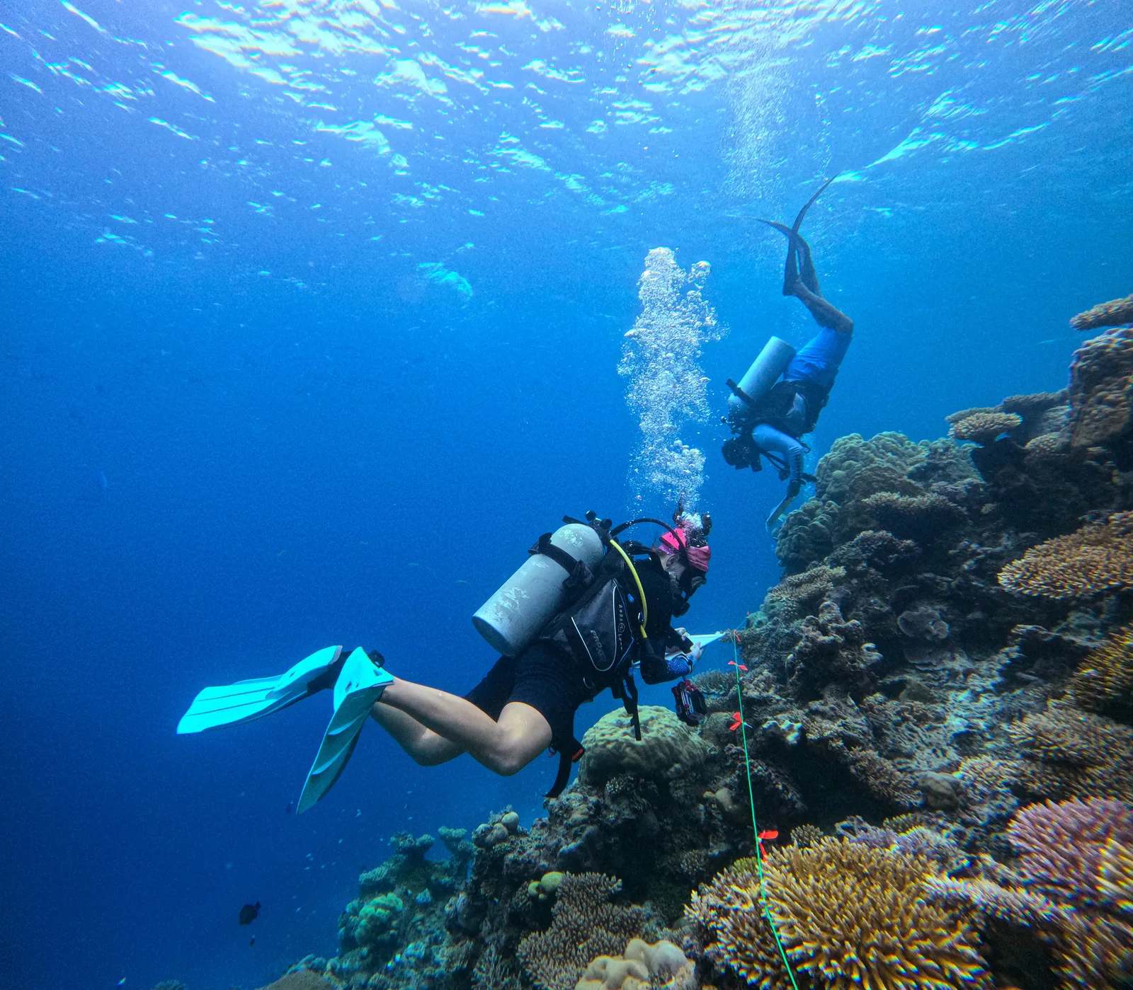 Conservation Imagery