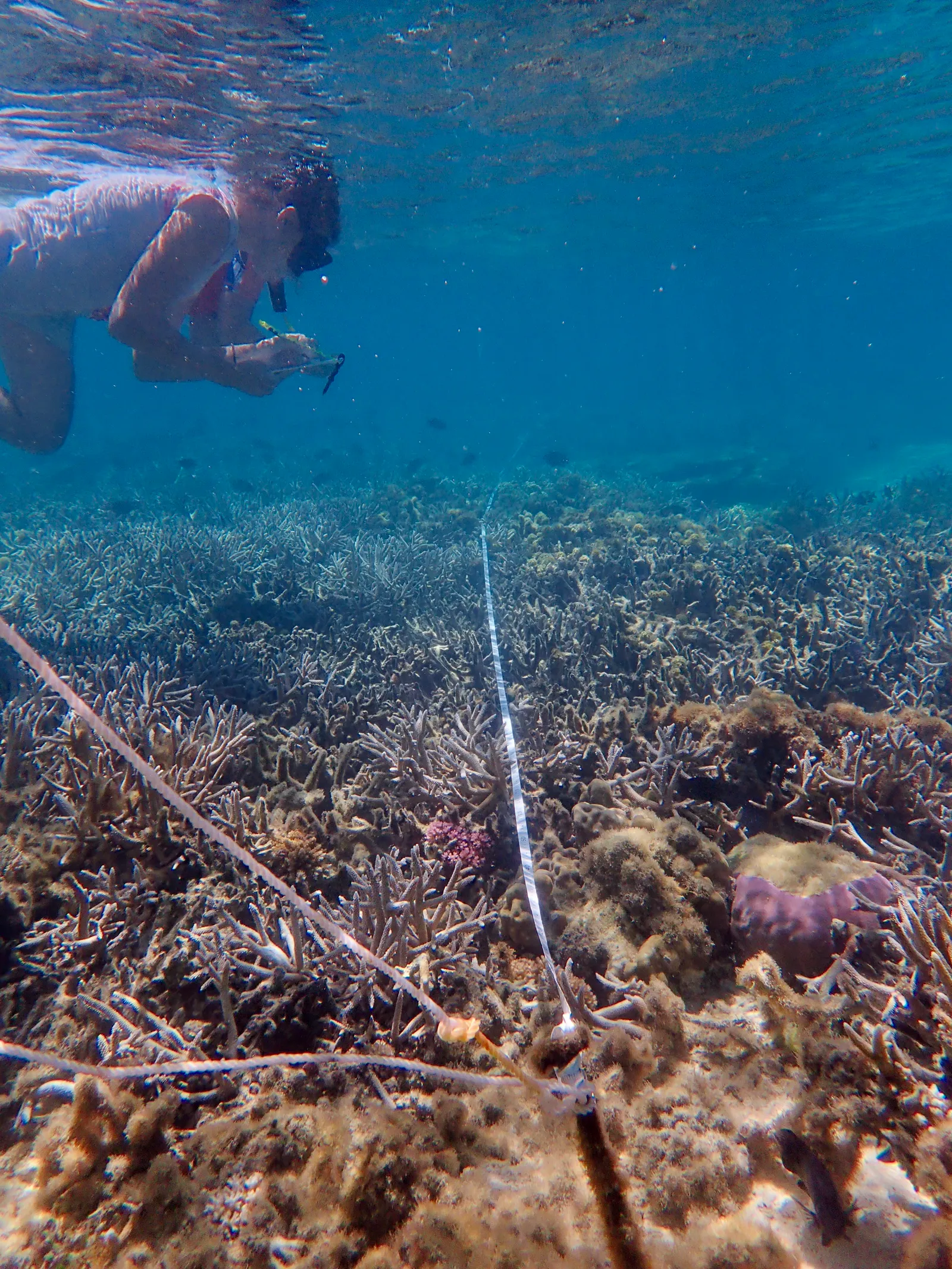 Lagon Bleu – photo 4